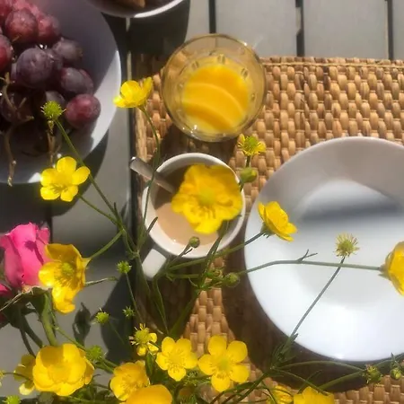 Apartman Kate Mljet *