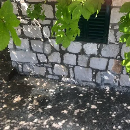 Apartman Kate Mljet
